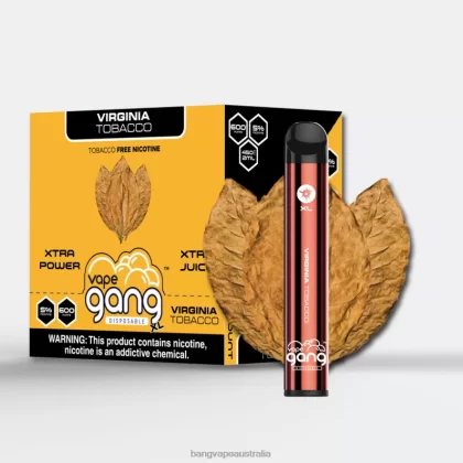 Vape Gang XL Disposable Vapes 600 puffs (Box of 10) 6006N70 Virginia Tobacco – Bang Vape Puffs - Bangvapeaustralia
