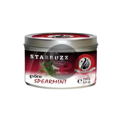 StarBuzz Exotic Spearmint Hookah Shisha 100g - Ejuicewarehouse