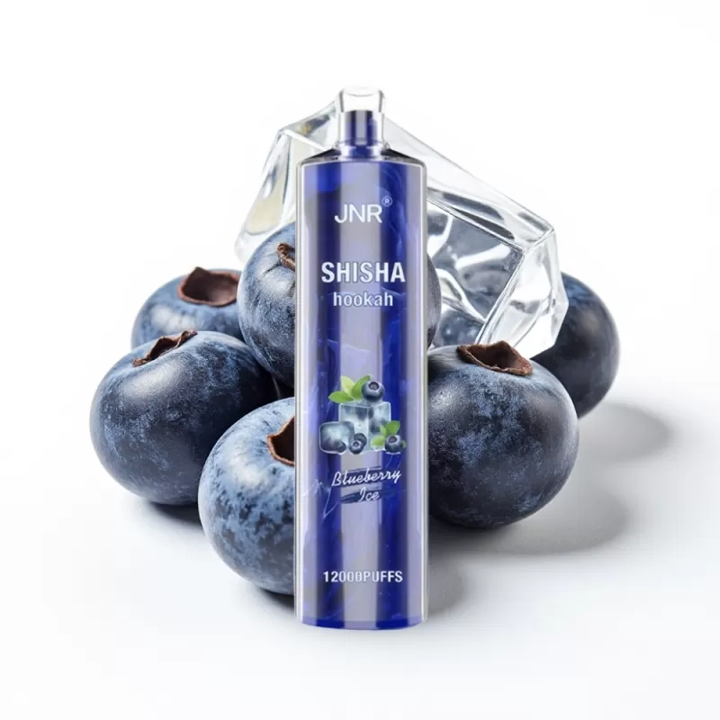 JNR Shisha Hookah 12000 Puffs 24ml 750mAh Azul Helado Mexico vape - Fumotvapemexico