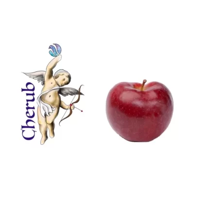 Red Apple Cherub E-Liquid Juice – 10ml Bottle - Vapourdays Co