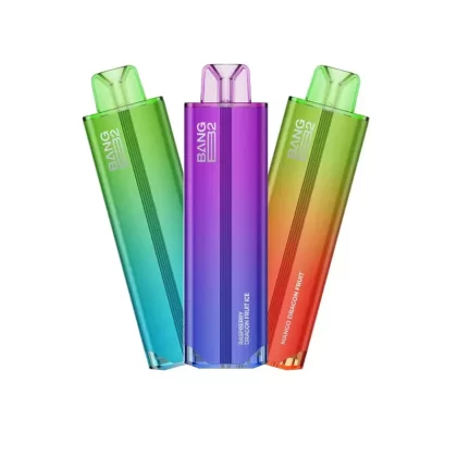BANG B2 6000 DISPOSABLE VAPE - Strawberry Kiwi