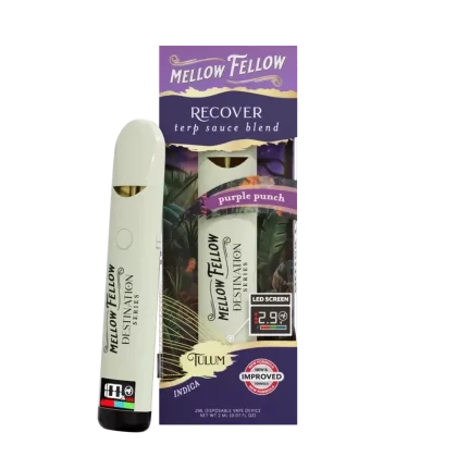 Recover Blend – Terp Sauce 2ml Disposable Vape – Purple Punch (Indica)