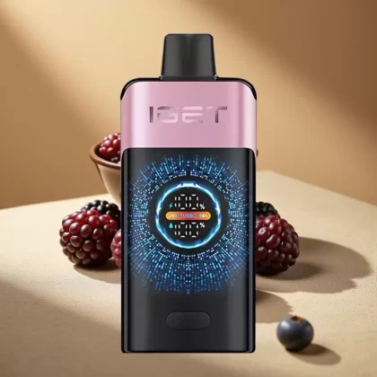 IGET ONE 12000 Puffs Disposable Vape with 2700mAh Battery and Dual Mesh Coil – Blackberry Ice