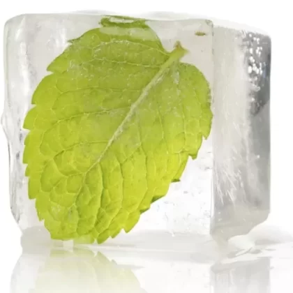 Ice Mint