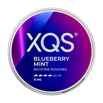 Blueberry Mint XQS Nicotine Pouches - Ecigwizard