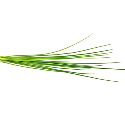 Chives Plant Pods 3-pack