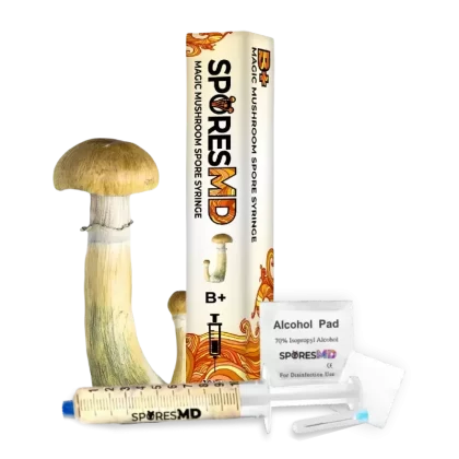 SporesMD B+ Mushroom Liquid Culture (10ml) - Vape Store