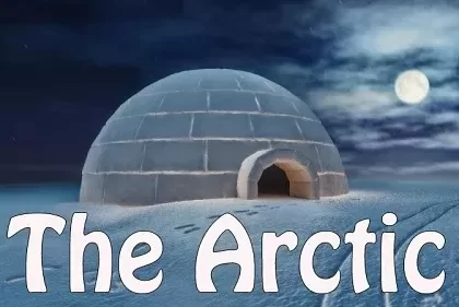 The Arctic Premium E-Liquid
