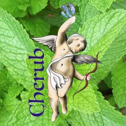 Peppermint Cherub E-Liquid Juice 10ml Bottles - Vapourdays Co