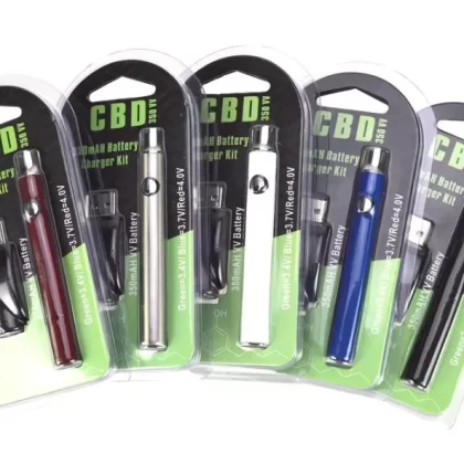 Variable Voltage 350mAh Mini Vape Pen Battery & USB Charger Kit - Red