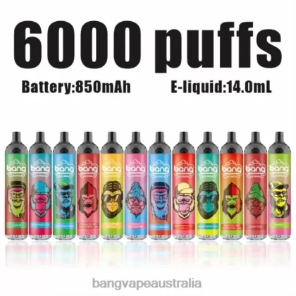 Bang Vape King 6000 puffs 5% Nic Rechargeable Type-C 6006N8 Disposable – Bang Vape Puffs - Bangvapeaustralia