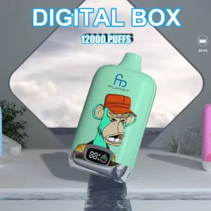 RandM Digital Box 12000 Puffs | 20mL, 850mAh, LCD screen, bulk disposable vape - Aiviouvapes