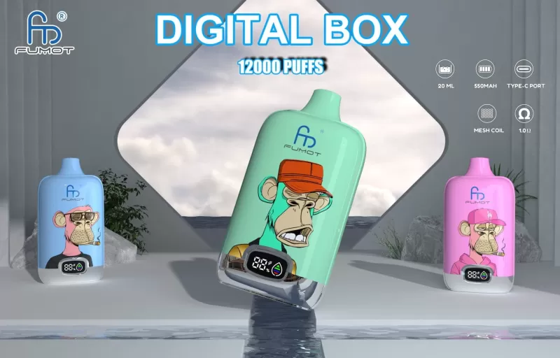 RandM Digital Box 12000 Puffs | 20mL, 850mAh, LCD screen, bulk disposable vape - Aiviouvapes