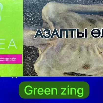 Heets TEREA Green Zing Kazakhstan