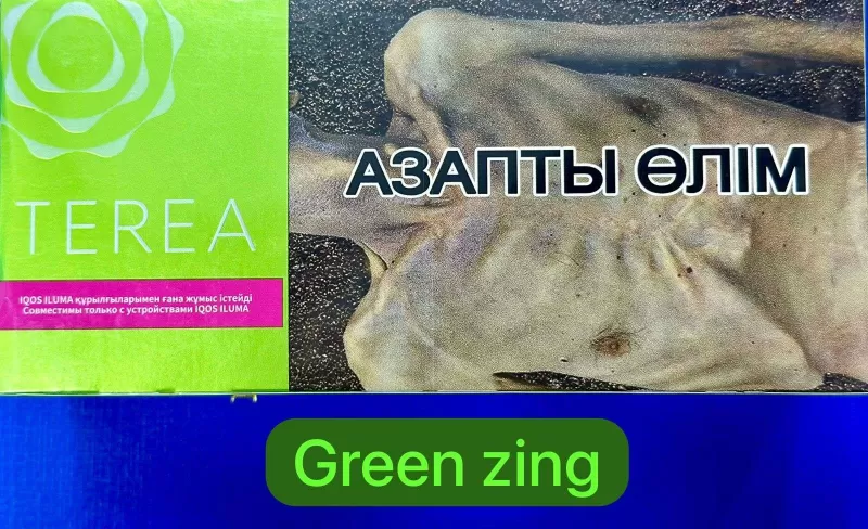 Heets TEREA Green Zing Kazakhstan