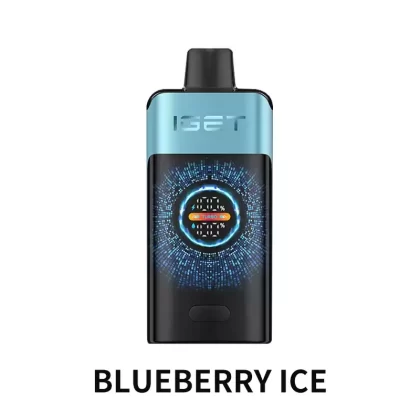 IGET ONE 12000 Puffs – Blueberry Ice - Ozvapeone