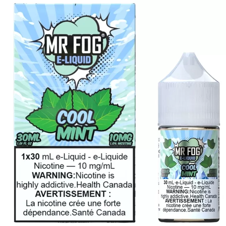 MR FOG Salt – Cool Mint