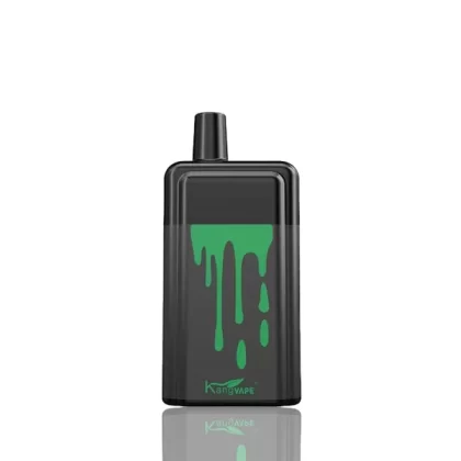 Kangvape Onee Stick 5200 Puffs Disposable 10-Pack - Menthol