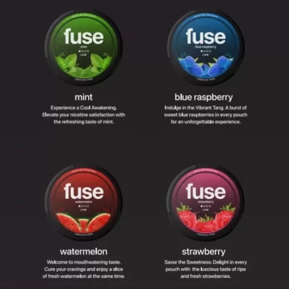 FUSE NICOTINE POUCHES - NICOTINE#6MG>18MG~FLAVORS#BLUE RASPBERRY>WATERMELON>STRAWBERRY>MINT