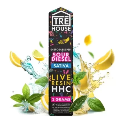 TreHouse HHC Disposable Vape Sour Diesel 2G | Rokin - Ejuicewarehouse