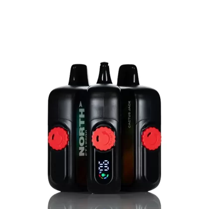 North FT12K 12000 Puffs Disposable Vape - Cool Mint