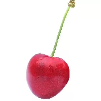 Cherry Vapour Days Flavour E-Liquid - Vapourdays Co