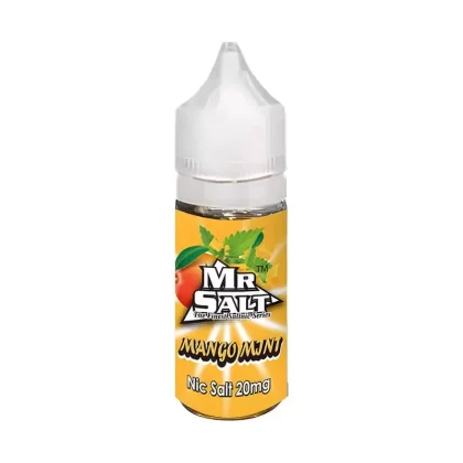 Mr Salt saltnic Mango Mint Vape Juice - 10 Pack