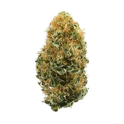 WHITE WIDOW - Ukvapehouse