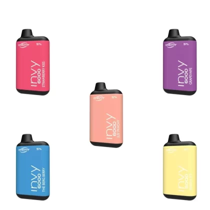 Innevape Invy Rechargeable Disposable Vape (6000 Puffs) – BOGO - Vape Store