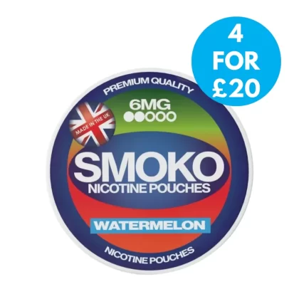 SMOKO Snus 6mg Nicotine Pouches - Blueberry Raspberry, Cinnamon Bun; Vape Product, Low (D15A43)