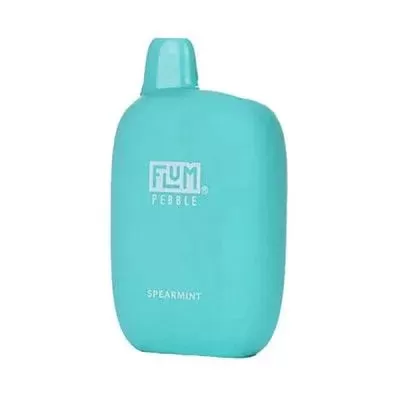 Flum Pebble Spearmint Disposable 6000 Puffs