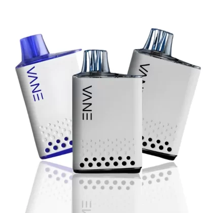 Enva P8000 Puffs Disposable Vape - Strawberry Kiwi