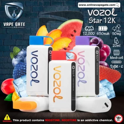 Vozol Star 12K Rechargeable Disposable Vape (12,000 Puffs) - Raspberry Watermelon / 50 mg