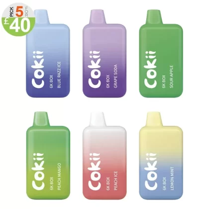 COKII BAR 6K Box Kit 6000 Puffs