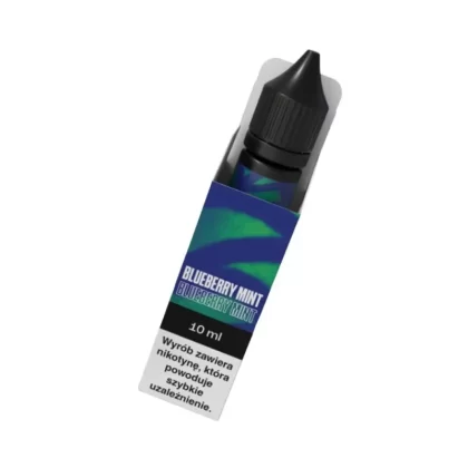 Liquid Vjuice Go+ VBAR 3mg Blueberry Mint 10ml