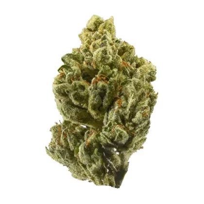 OG KUSH - Ukvapehouse
