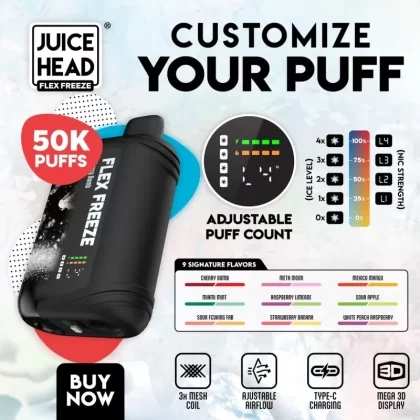 JUICE HEAD “FLEX FREEZE” 50K Puff Disposable