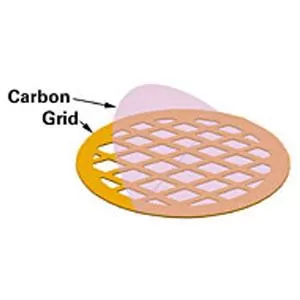 Carbon Film only on 400 mesh (20-30nm)