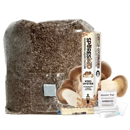 SporesMD Functional Mushroom Kit – King Oyster