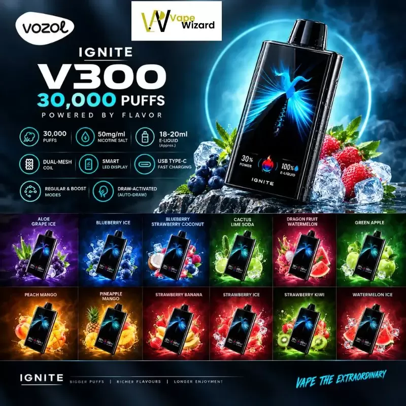 Ignite V300 30000 Puffs Disposable Vape 50mg - Aloe Grape Ice, Blueberry Ice; 10PCS-1BOX, 1PCS-1PACK (6158AC) (6158AC)