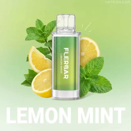 Flerbar Pods – Lemon Mint – Prefilled Liquid Pod – 2er Pack - Vape Store