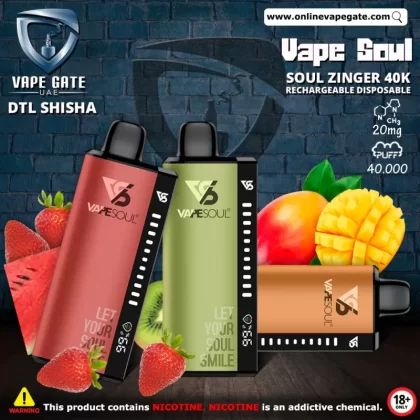 Vape Soul Zinger 40K Rechargeable Disposable Vape (40,000 Puffs) - Blueberry Red Raspberry / 20 mg