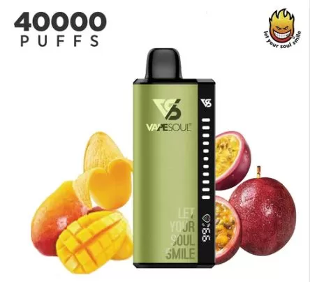 Vape Soul Zinger 40K Rechargeable Disposable Vape (40,000 Puffs) - Blueberry Red Raspberry / 20 mg - Image 3