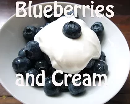 Blueberries and Cream Premium E-Liquid