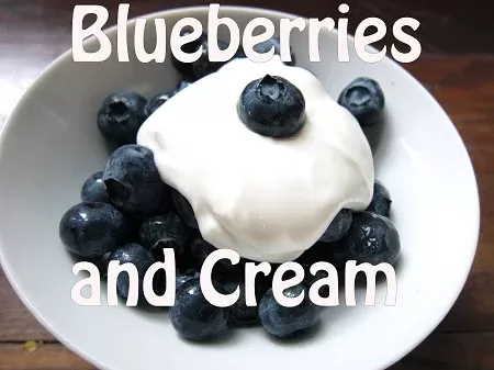 Blueberries and Cream Premium E-Liquid