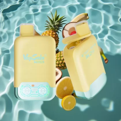 Vapsolo Twins 20000 Puffs Dual Tank Disposable Vape – Pineapple Coconut & Strawberry Banana, 40ml E-Liquid, Type-C Charging - Bangvapeaustralia