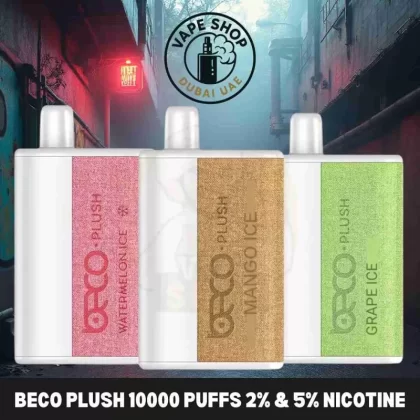 Beco Plush 10000 Puffs 5% Nicotine Disposable Vape In Dubai - BOX OF 10 PCS; Fresh Mint (9C8C9C)