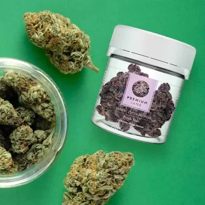 Premium Jane Purple Haze THCA Flower, 3.5g