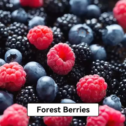 Relx Infinity Pod Gen6 2 pods pack – Forest Berries - Ozvapeone (F4104F)