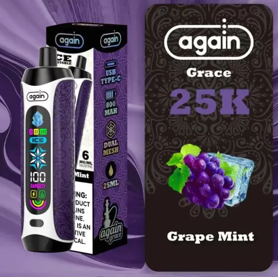 Again Grace Shisha Disposable Rechargeable Vape (25,000 Puffs) - Double Apple / 6 mg - Image 2